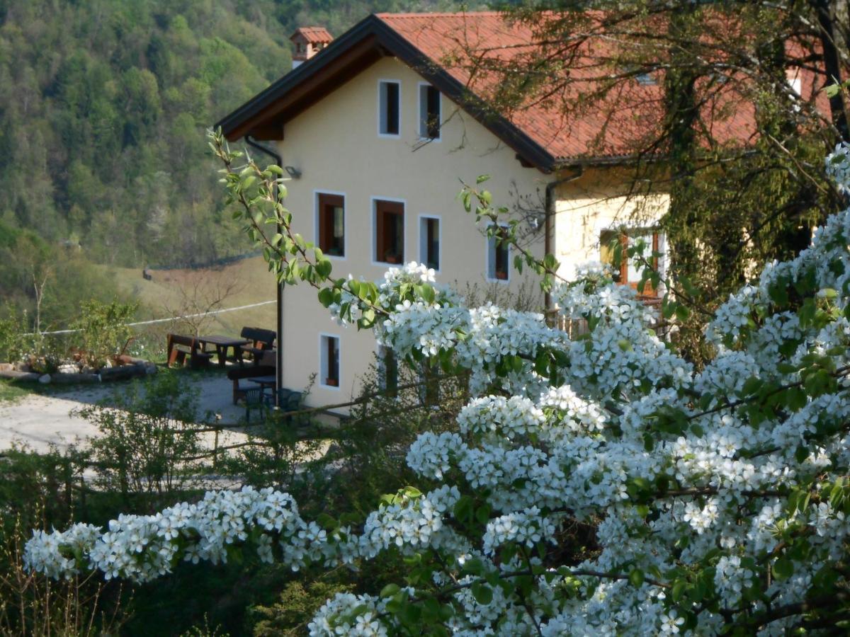 Agriturismo La Casa Nei Boschi Colderu 외부 사진