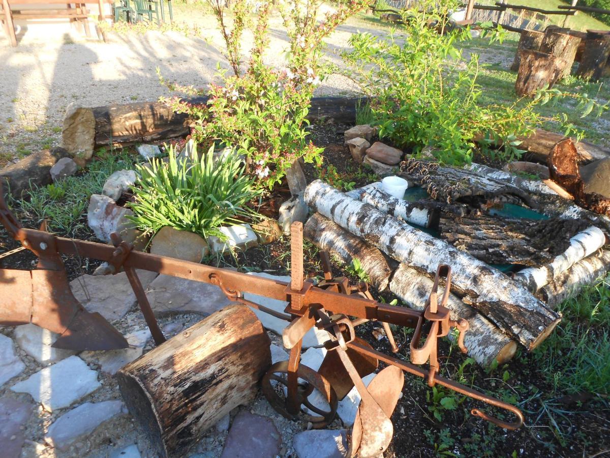 Agriturismo La Casa Nei Boschi Colderu 외부 사진