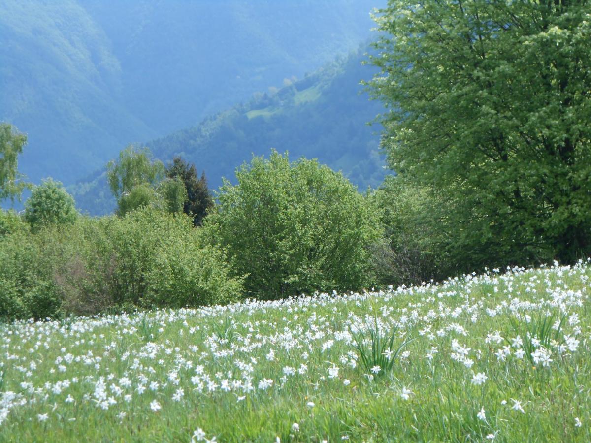 Agriturismo La Casa Nei Boschi Colderu 외부 사진